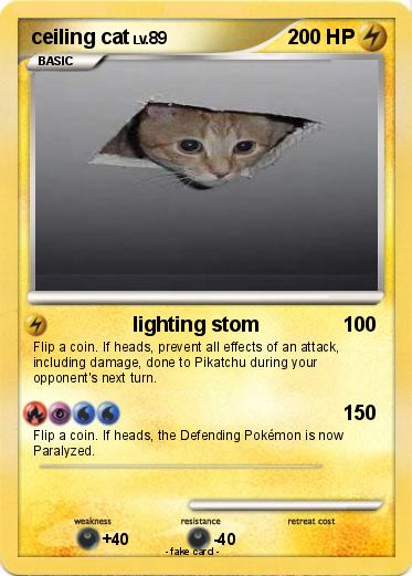 Pokemon ceiling cat