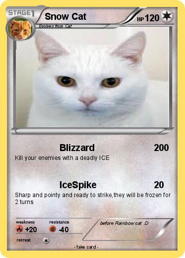 Pokemon Snow Cat