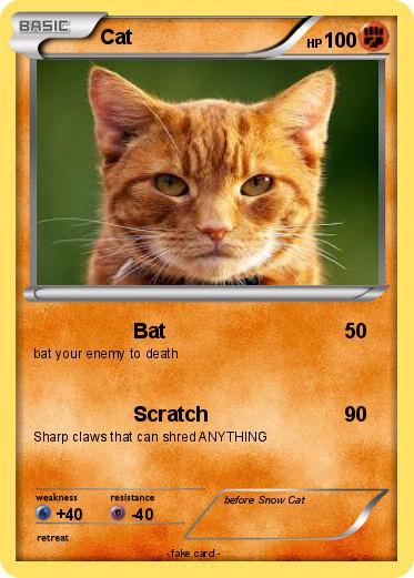 Pokemon Cat