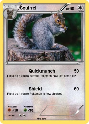 Pokemon Squirrel