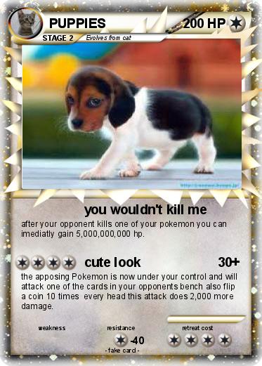 Pokemon PUPPIES Pokemon PUPPIES