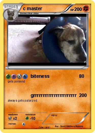 Pokemon c master