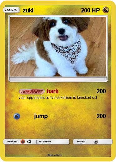 Pokemon zuki