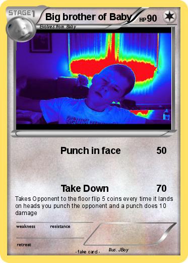 Pokemon Big brother of Baby