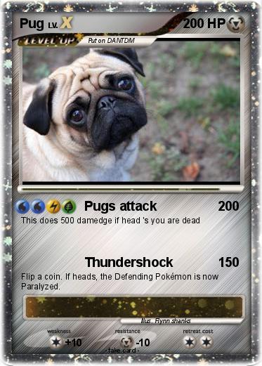 Pokemon Pug