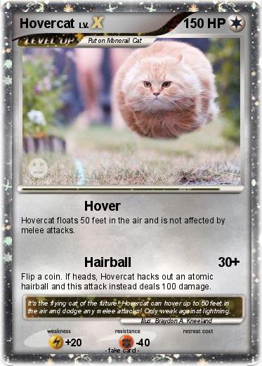 Pokemon Hovercat