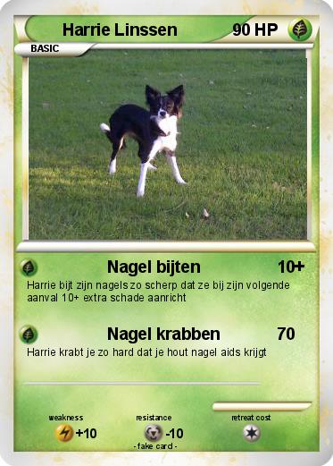Pokemon Harrie Linssen