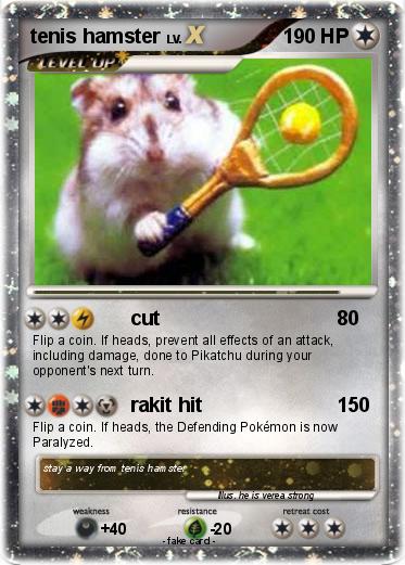 Pokemon tenis hamster