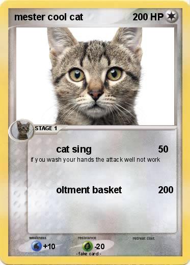 Pokemon mester cool cat