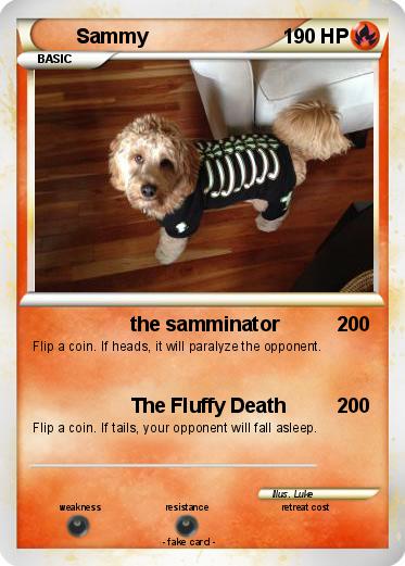 Pokemon Sammy