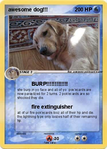 Pokemon awesome dog!!!
