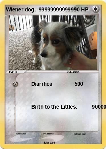 Pokemon Wiener dog.  9999999999999