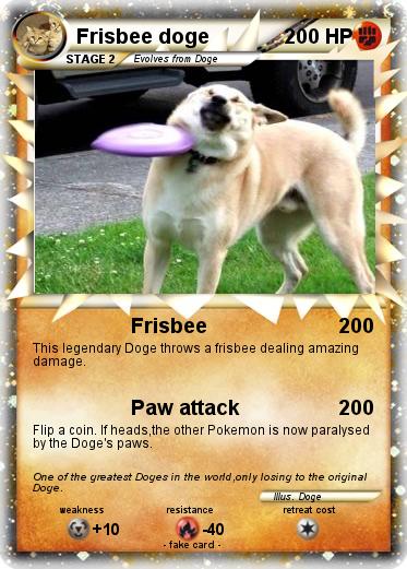 Pokemon Frisbee doge