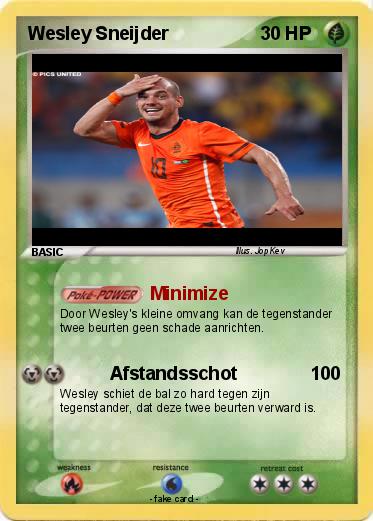 Pokemon Wesley Sneijder