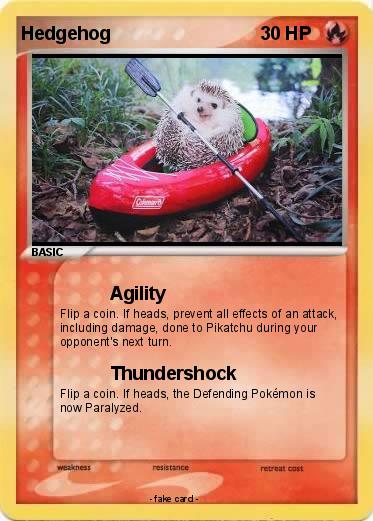 Pokemon Hedgehog