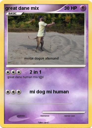 Pokemon great dane mix