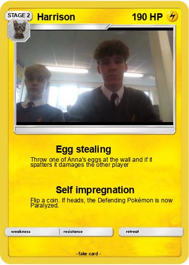 Pokemon Harrison