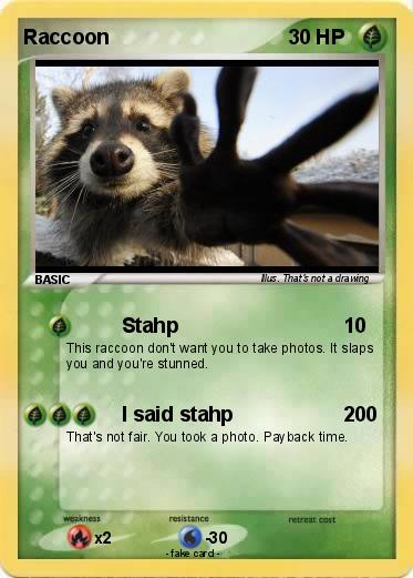 Pokemon Raccoon