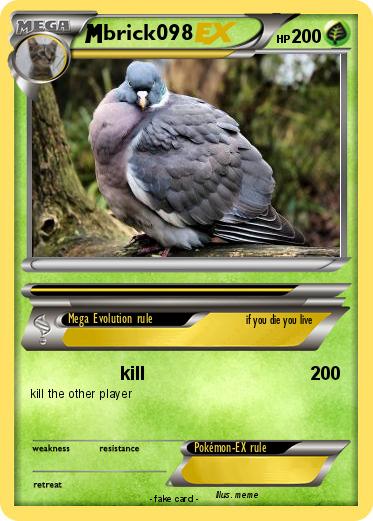 Pokemon brick098