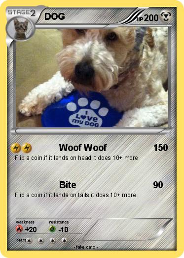 Pokemon DOG