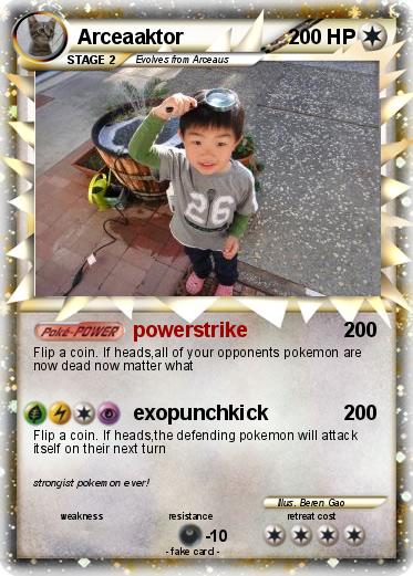 Pokemon Arceaaktor