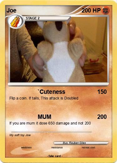 Pokemon Joe