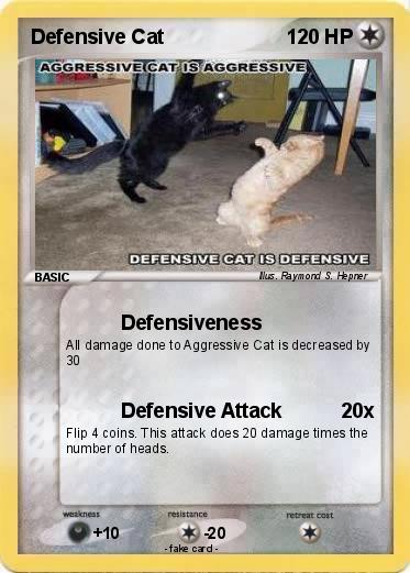 Pokemon Defensive Cat