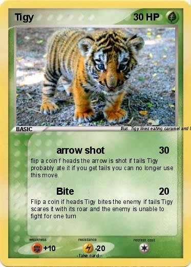 Pokemon Tigy