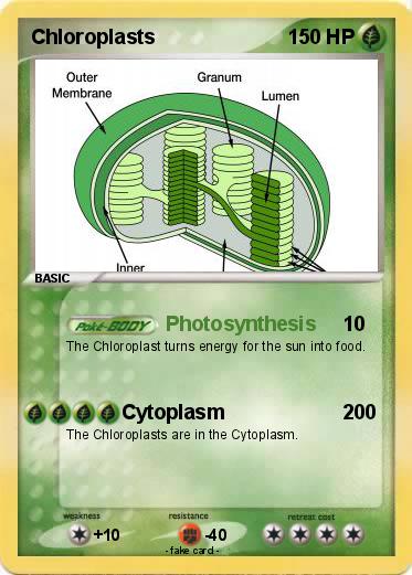 Pokemon Chloroplasts