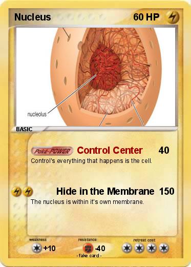 Pokemon Nucleus