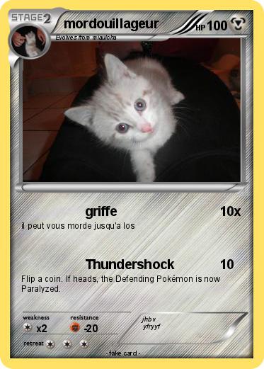 Pokemon mordouillageur
