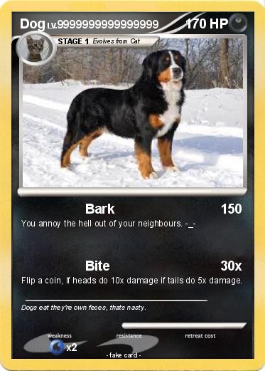Pokemon Dog