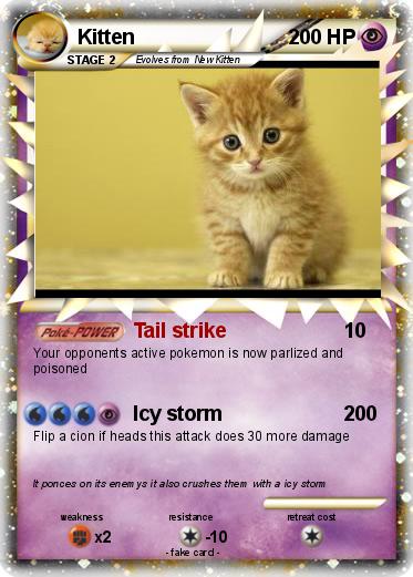 Pokemon Kitten