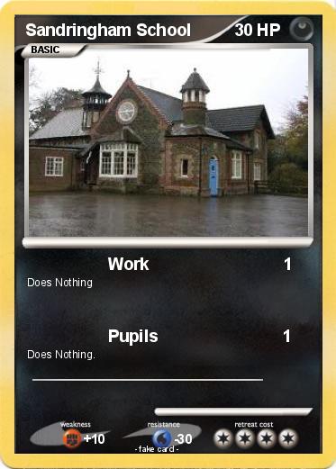 Pokemon Sandringham School