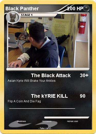 Pokemon Black Panther