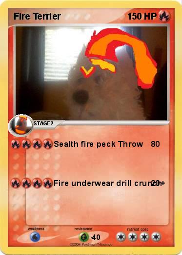 Pokemon Fire Terrier