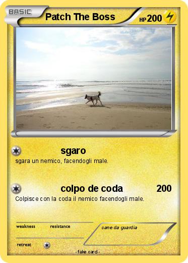 Pokemon Patch The Boss