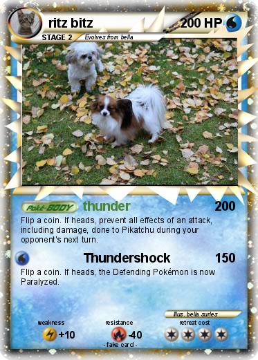 Pokemon ritz bitz
