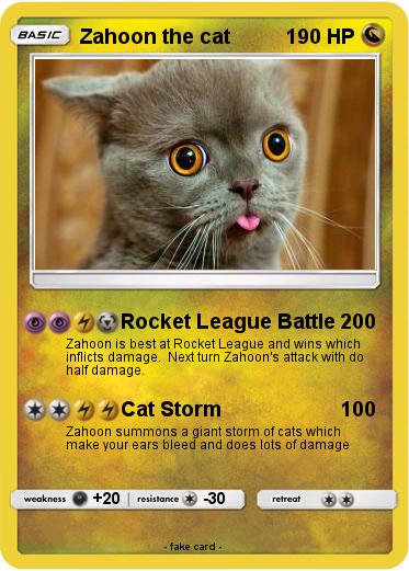 Pokemon Zahoon the cat