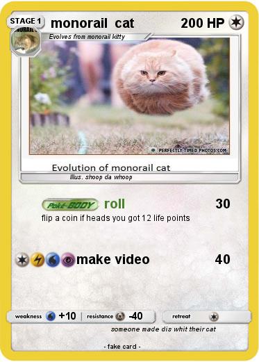 Pokemon monorail  cat
