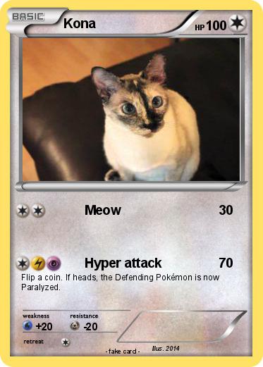 Pokemon Kona