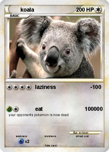 Pokemon koala