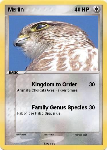 Pokemon Merlin