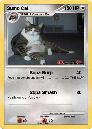 Pokemon Sumo Cat