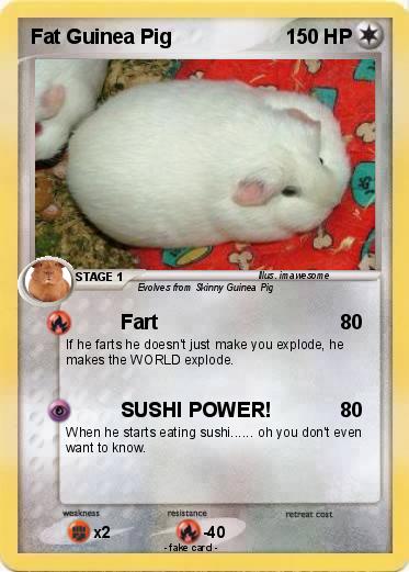 Pokemon Fat Guinea Pig