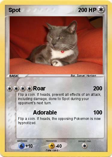 Pokemon Spot