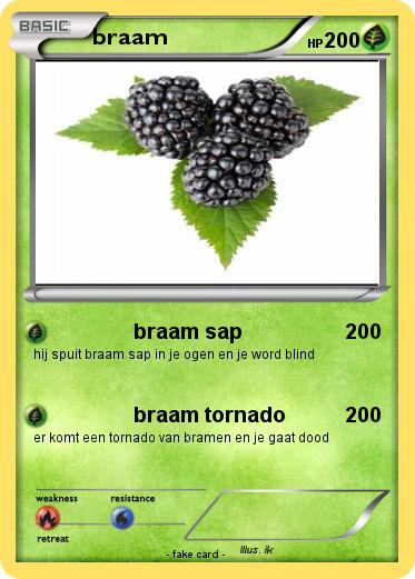 Pokemon braam