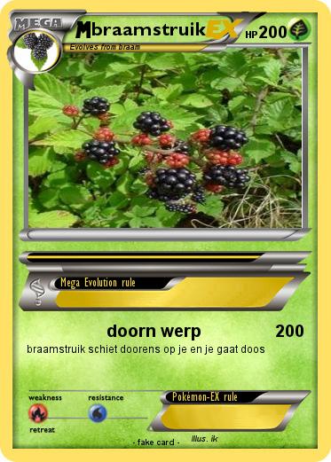 Pokemon braamstruik