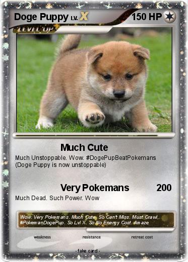 Pokemon Doge Puppy