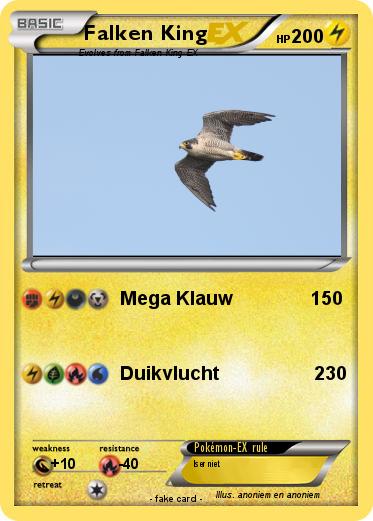 Pokemon Falken King